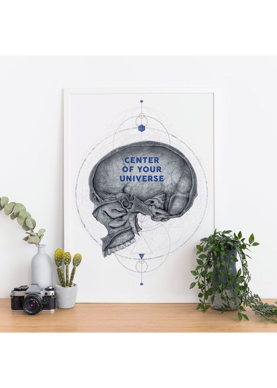 Plakat Przekrój Czaszki - Universe — zdjęcie 6