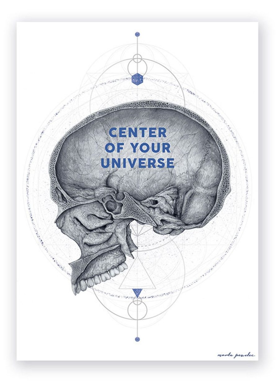 Plakat Przekrój Czaszki - Universe