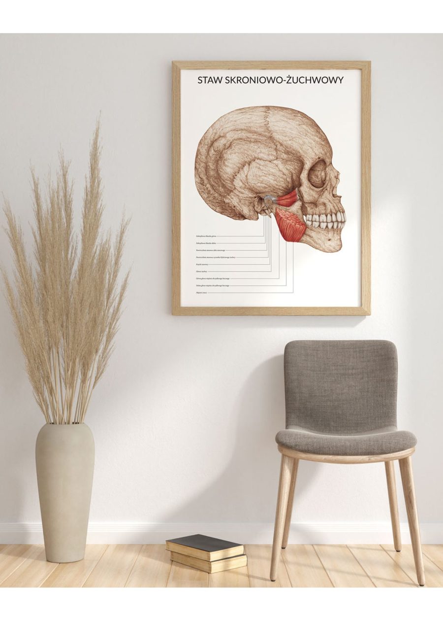 Plakat Staw Skroniowo-Żuchwowy — zdjęcie 7