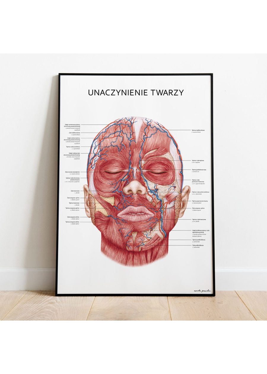 Plakat Unaczynienie Twarzy — zdjęcie 2