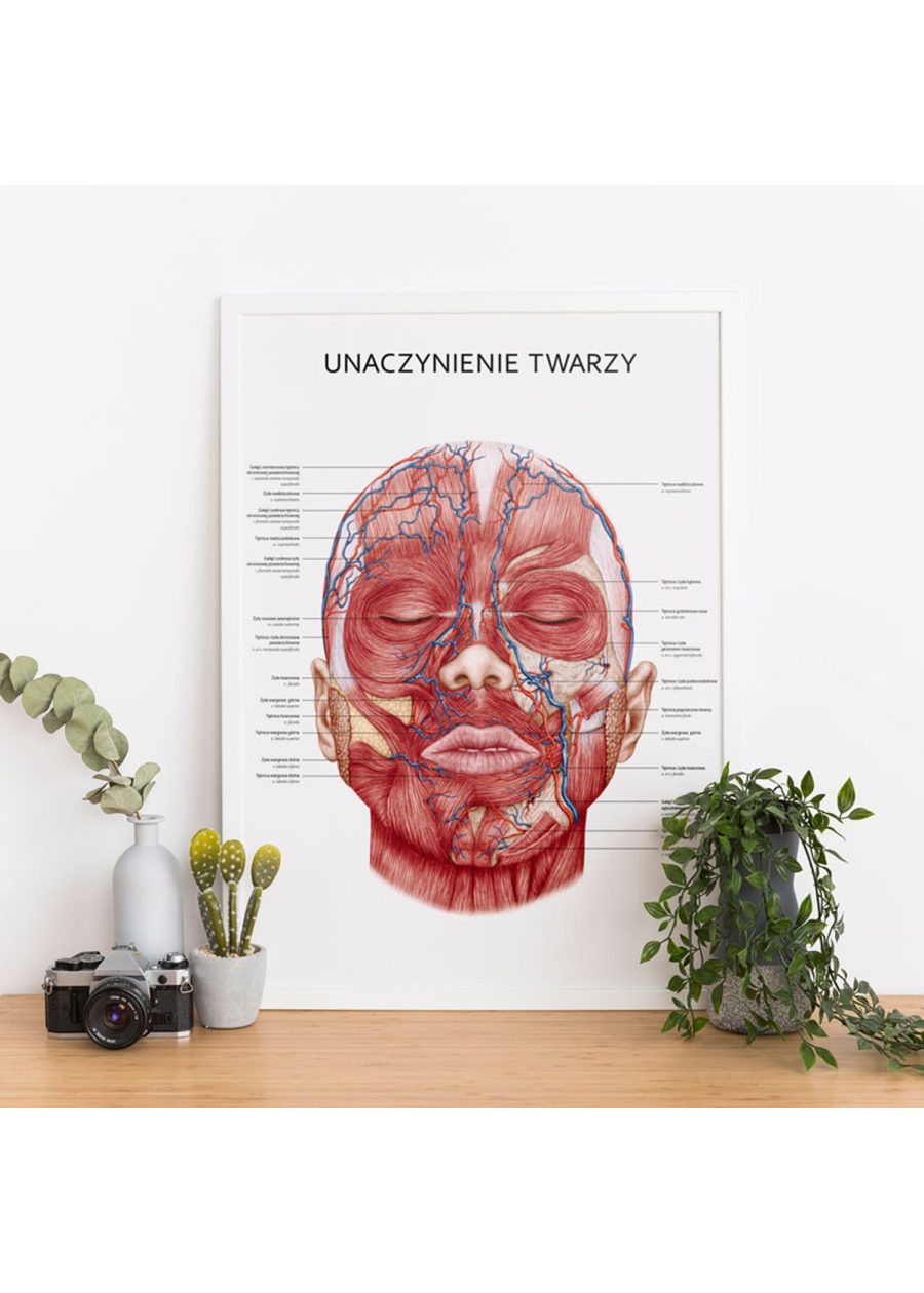 Plakat Unaczynienie Twarzy — zdjęcie 3