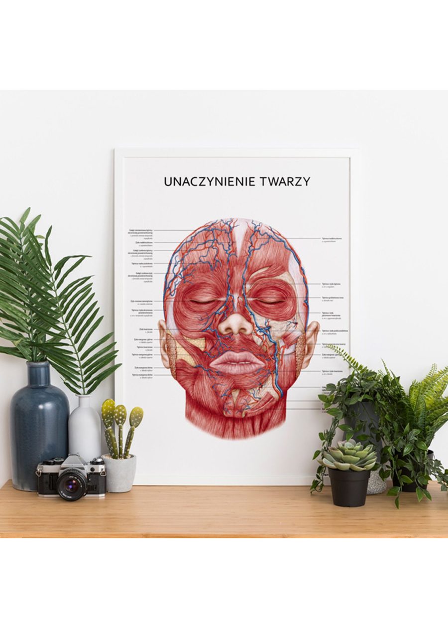 Plakat Unaczynienie Twarzy — zdjęcie 4