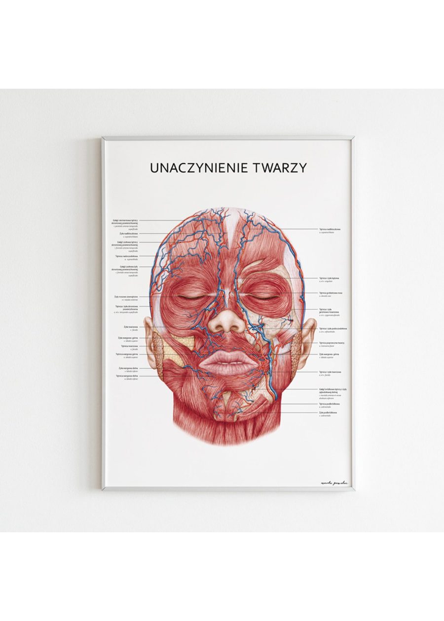 Plakat Unaczynienie Twarzy — zdjęcie 5
