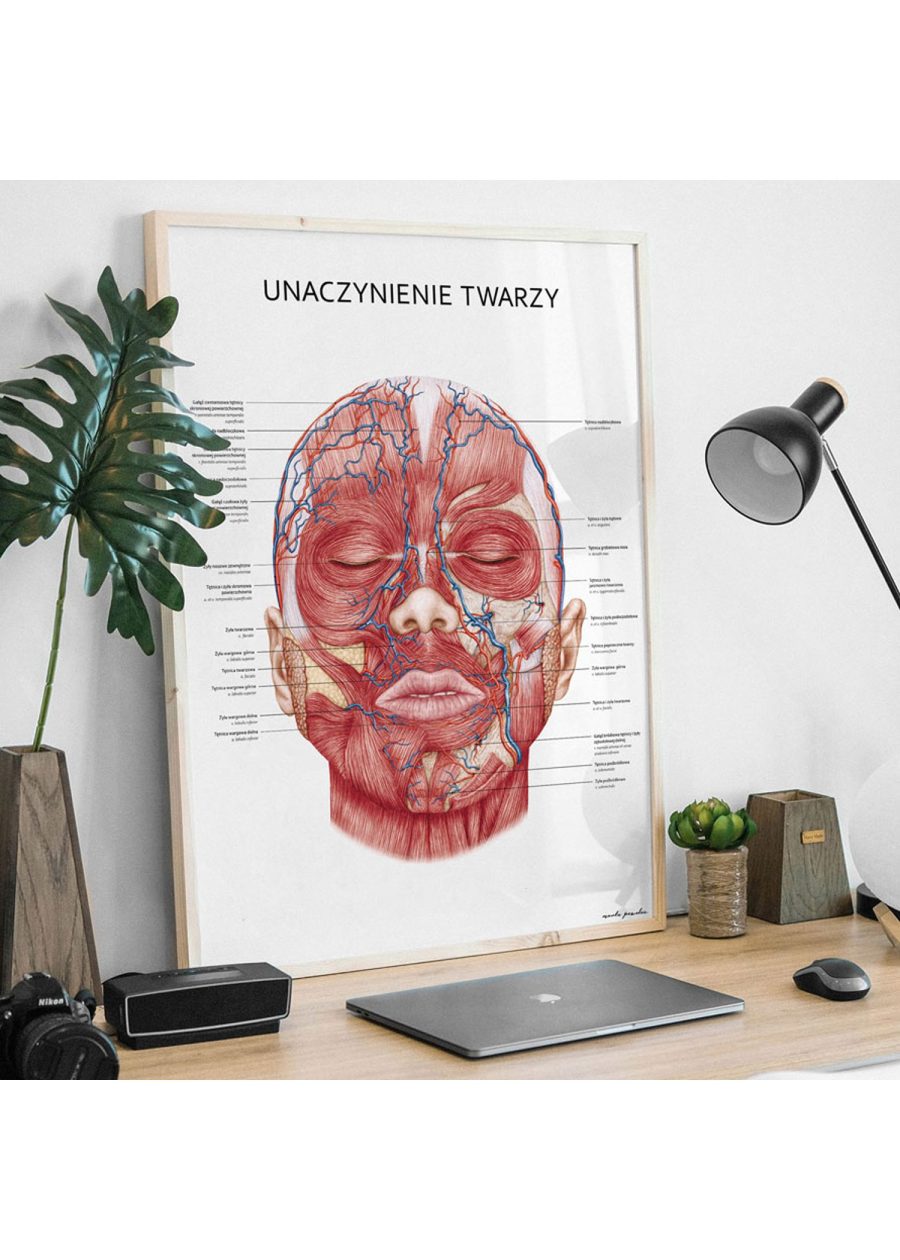 Plakat Unaczynienie Twarzy — zdjęcie 6