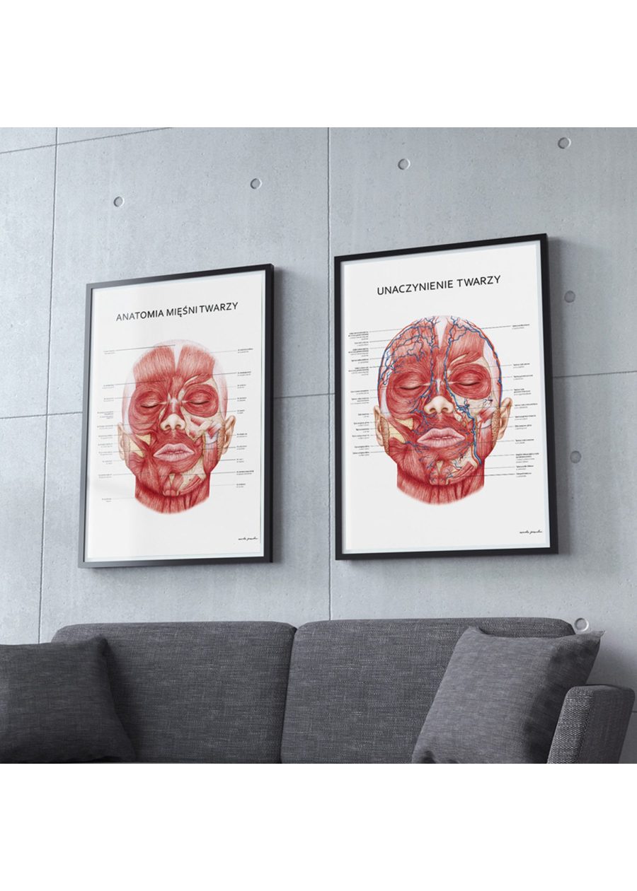 Plakat Unaczynienie Twarzy — zdjęcie 7
