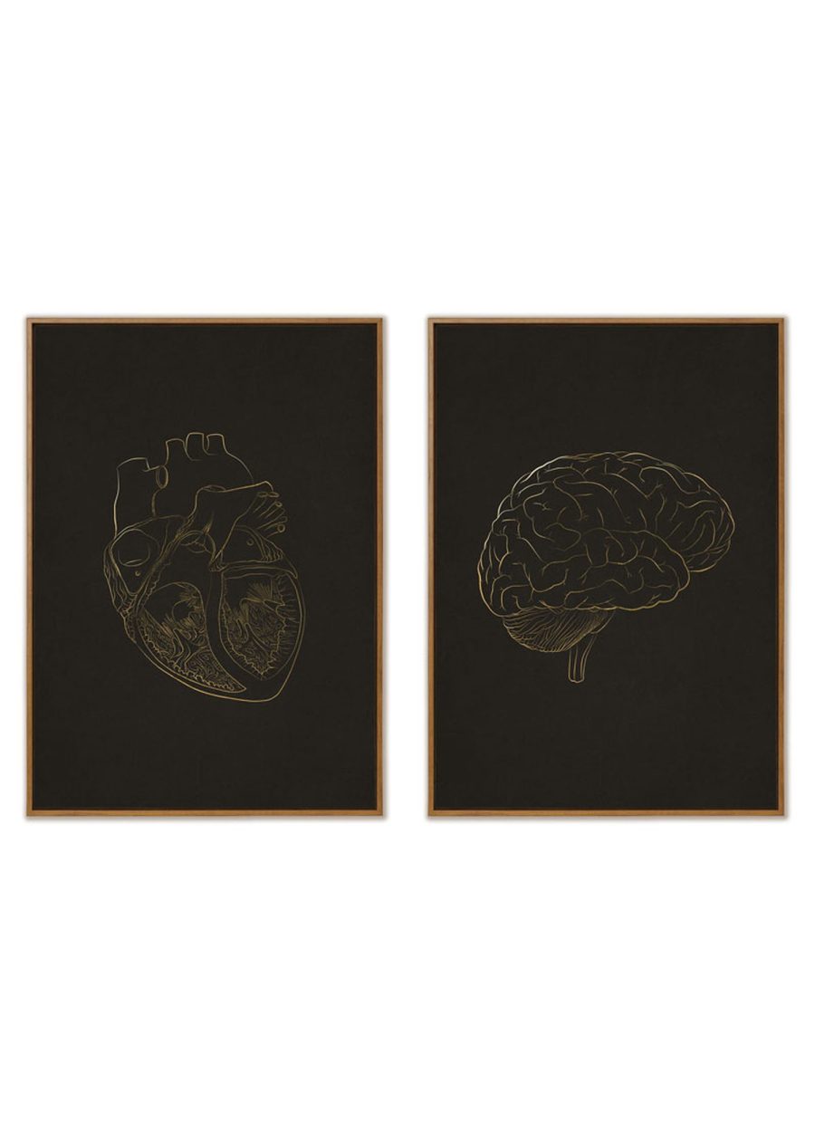Plakaty Czarna Anatomia Serce&Mózg - Komplet