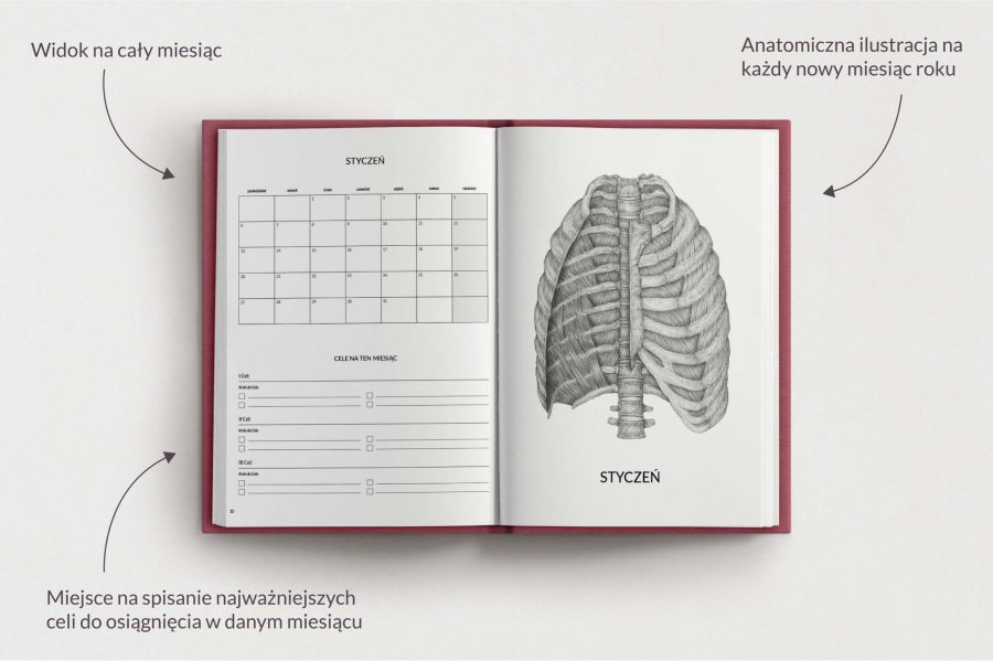 Planer Anatomiczny 2025 - OUTLET — zdjęcie 6