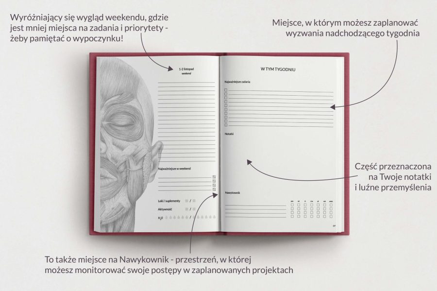 Planer Anatomiczny 2025 - OUTLET — zdjęcie 8