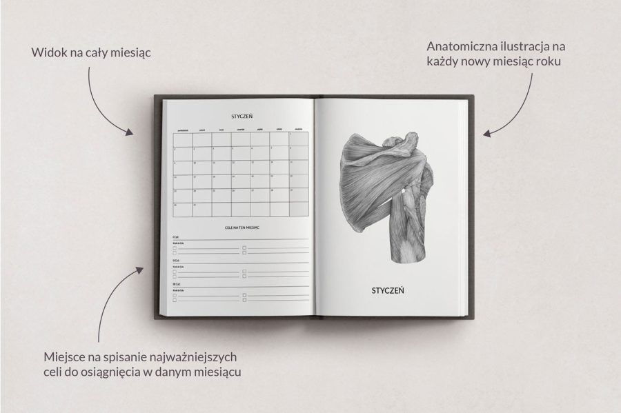 Planer Anatomiczny 2023 — zdjęcie 4