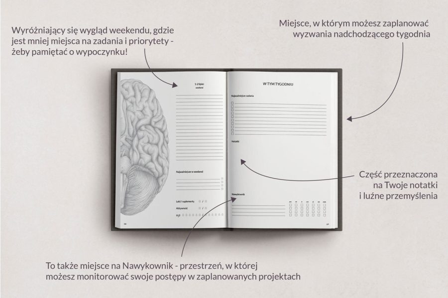 Planer Anatomiczny 2023 — zdjęcie 6